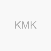 1988 Yili Osmanli Bankasinin 125 Yili Pleksiglas Icinde Gumus Trakyakoleksiyon Com